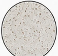 Engineered stone